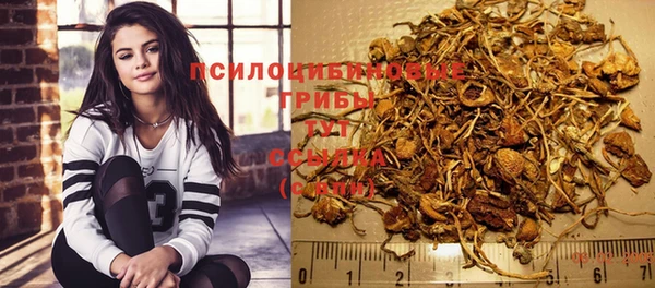 круглые Белокуриха