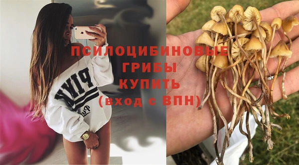 круглые Белокуриха
