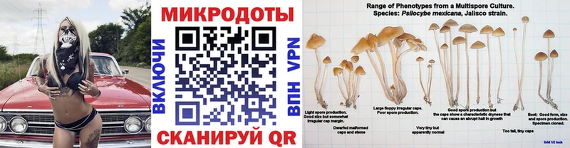 Псилоцибиновые грибы ЛСД  Бородино 